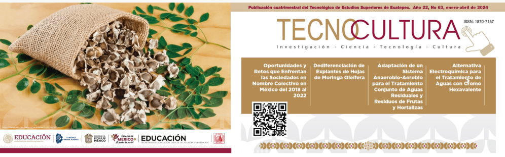 Revista Tecnocultura.